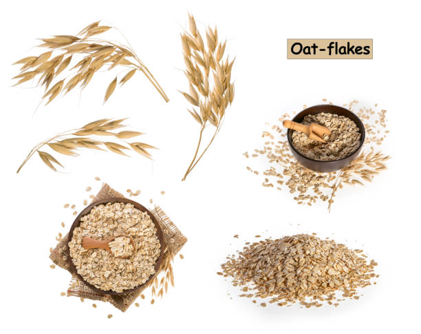 escamas de avena aisladas sobre fondo blanco - oat wheat oatmeal cereal plant fotografías e imágenes de stock