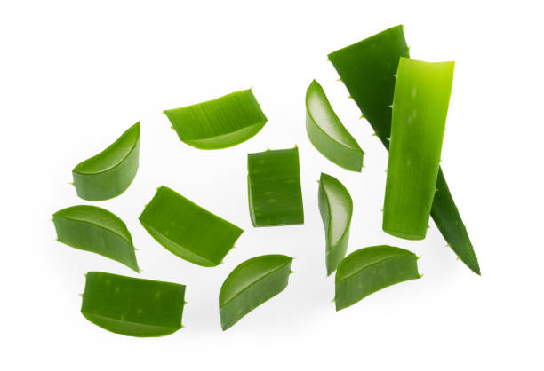 istock Aloe vera sliced plant isolated white background 1177901563