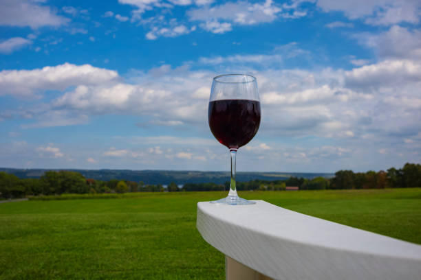 A glass of red wine photographed at on the arm rest of a white, plastic Adirondack chair near Cayuga Lake in the Finger Lakes Region of New York State. A glass of red wine photographed at on the arm rest of a white, plastic Adirondack chair near Cayuga Lake in the Finger Lakes Region of New York State. finger lakes stock pictures, royalty-free photos & images