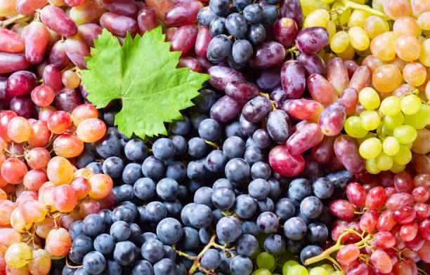 istock mix of colorful ripe grapes as background 1177905052