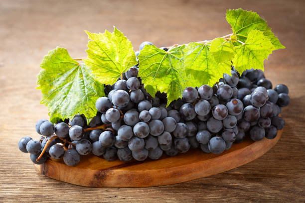 istock fresh blue grapes with leaves on a wooden board 1177905106