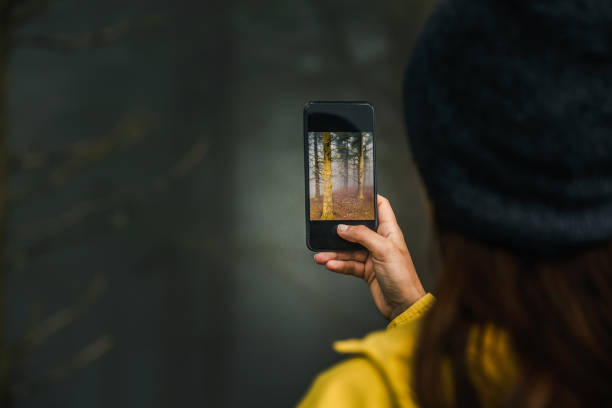 istock Taking a picture to a forest 1177907799