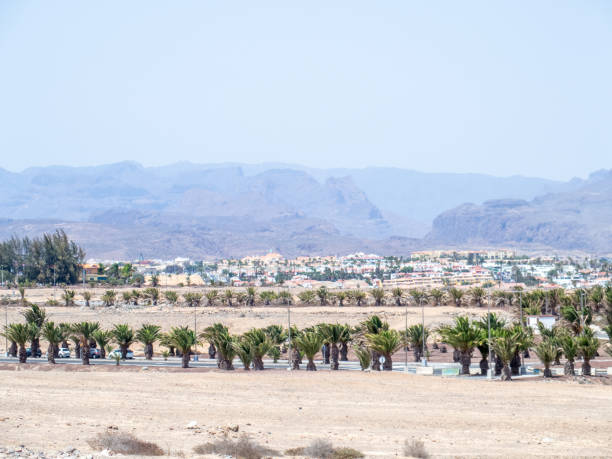 istock Sand dunes in Maspalomas, Gran Canaria island, Spain 1177911735