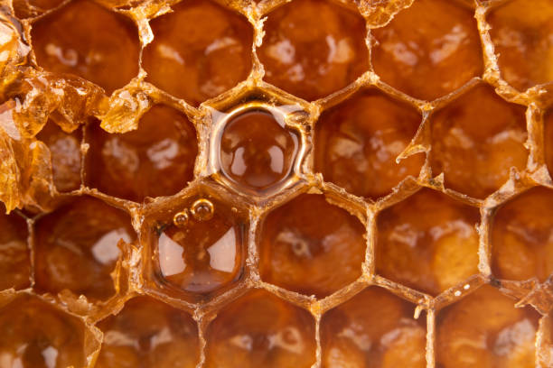 istock sweet yellow organic honeycomb 1177912207