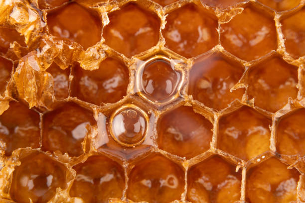 istock sweet yellow organic honeycomb 1177913732