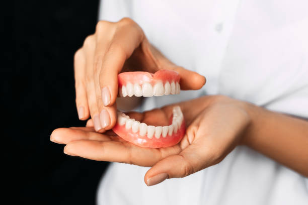 The dentist is holding dentures in his hands. Dental prosthesis in the hands of the doctor close-up. Front view of complete denture. Dentistry conceptual photo. Prosthetic dentistry. False teeth stock photo