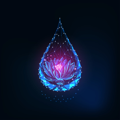 Futuristic glowing low polygonal pink lotus, water lily flower inside of water drop isolated on dark blue background. Spirituality, harmony concept. Modern wireframe design vector illustration.