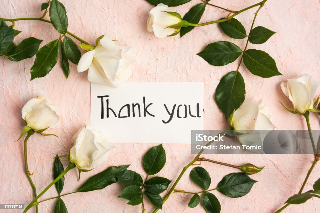 Handwritten Thank you card with flowers Handwritten Thank you card with white rose flowers Thank You - Phrase Stock Photo