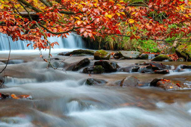 istock Mountain waterfall in autumn forest 1177919195