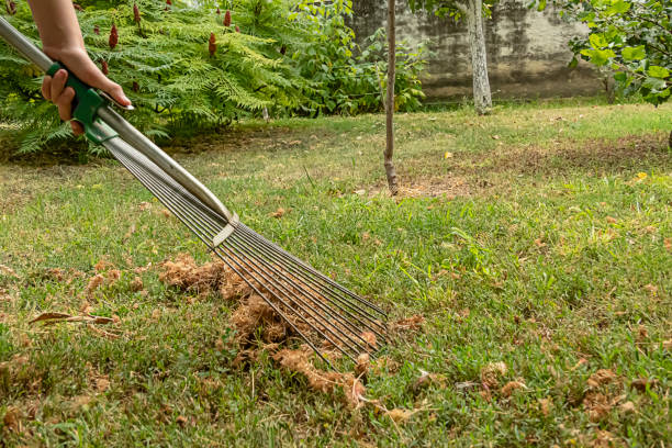 młoda dziewczyna zbiera opadłe liście w ogrodzie - bush child gardening sunlight zdjęcia i obrazy z banku zdjęć