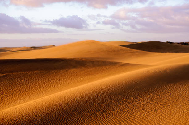 istock Dunes of Maspalomas Gran Canary Island 1177921866