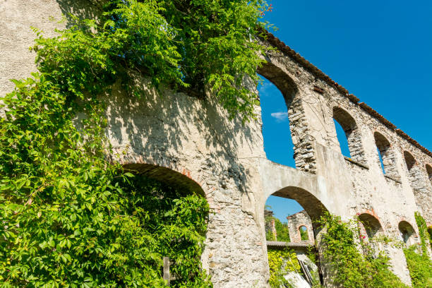 The ruins of an old factory are overgrown