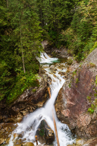 istock Waterfall in the Tatra Mountains 1177924507