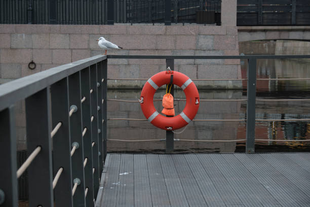 White Seagull sitting on the parapet next to the lifeline