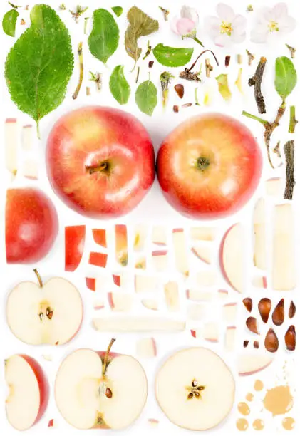 Large collection of apple fruit pieces, slices and leaves isolated on white background. Top view. Seamless abstract pattern.