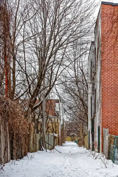 A back alley after a snowstorm showing foot traffic