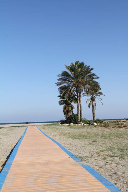 istock Vera beach in Almeria 1177933463