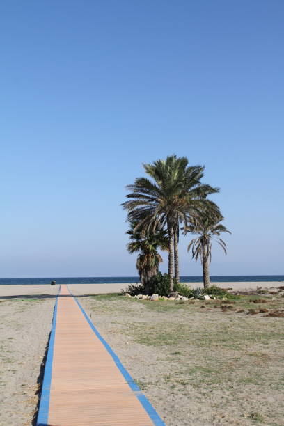 istock Vera beach in Almeria 1177933474