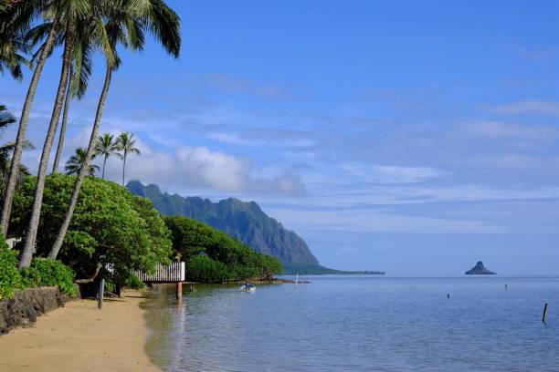 istock Mokoli’i (Mokolii island)island as seen from across the ocean 1177934544