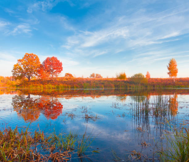 istock Beautiful autumn, forest and lake. 1177939201