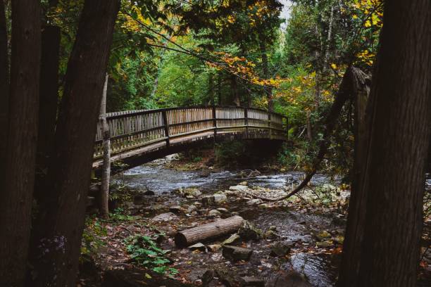 istock Bridge across the Credit Valley River 1177939324