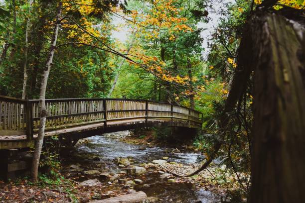 istock Bridge across the Credit Valley River 1177939335