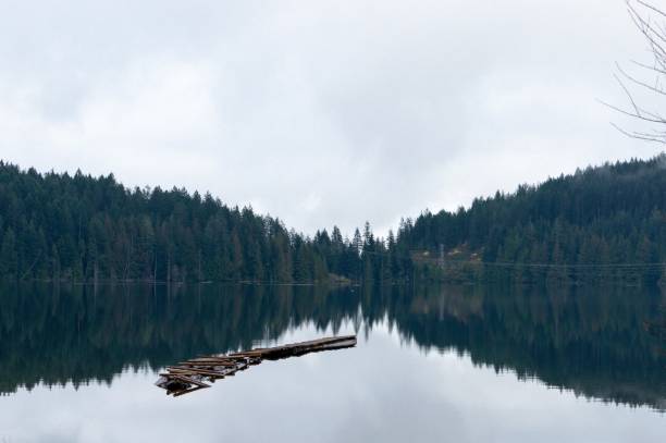istock British columbia forests reflect on a crystal clear lake 1177957561