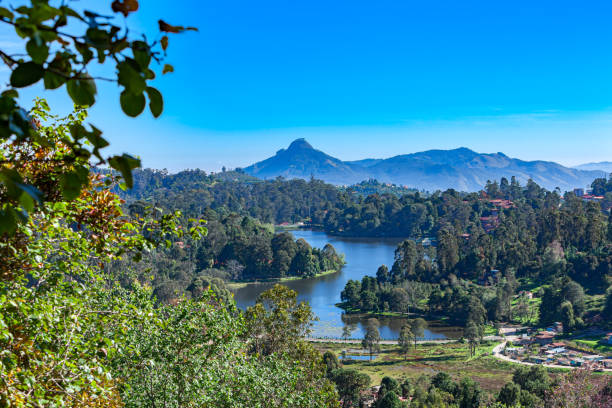 Kodaikanal, India - A high angle view of Kodaikanal Lake on the Palani Hills, in the South Indian State of Tamil Nadu located at about 7000 feet above sea level; In the far background is the peak known locally as Perumal Malai. The colonial town and hill station, was set up by the British when they were in India. Image shot in the morning sunlight. Horizontal format; no people. kodaikanal, india del sur - mirando hacia abajo en el lago kodaikanal desde una elevación más alta en la ciudad colonial, en el estado de tamil nadu; en el fondo lejano se encuentra el pico conocido localmente como perumal malai. no hay gente.