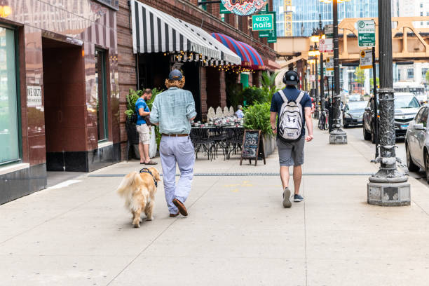 Chicago, IL / USA - September 11, 2019:  A man walks his dog downtown, in the Loop. The city is very dog friendly.
