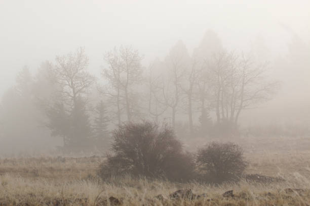 istock Ghostly Figures in Foggy Mine Country 1177966655