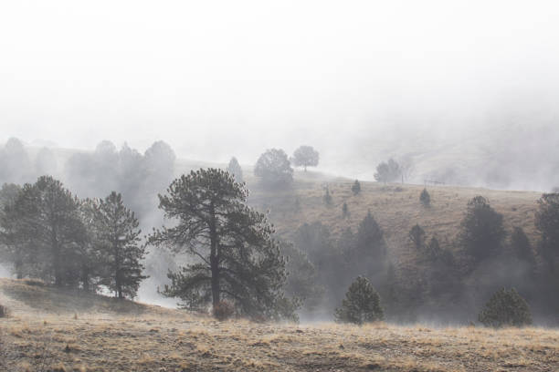 istock Ghostly Figures in Foggy Mine Country 1177966773