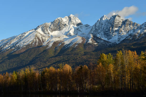 istock Snowy autumn Alaska mountain landscape 1177966896