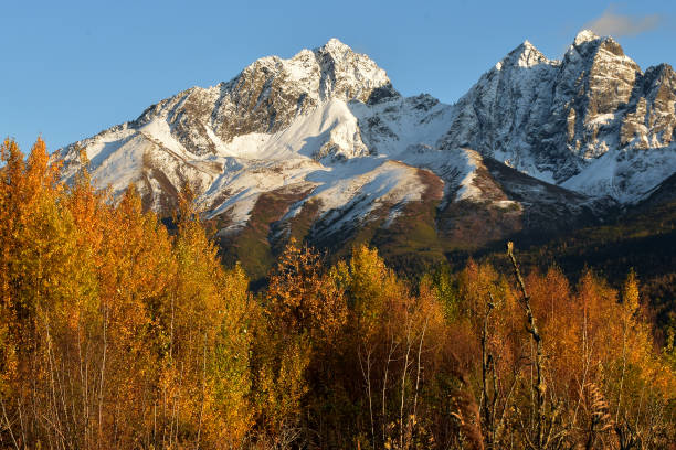 istock Snowy autumn Alaska mountain landscape 1177966903