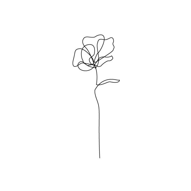 One line rose design. Hand drawn minimalism style stock illustration One line rose design. Hand drawn minimalism style stock illustration magnoliophyta stock illustrations