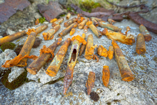 istock Rusty fragments, bullets in a dugout 1177994142