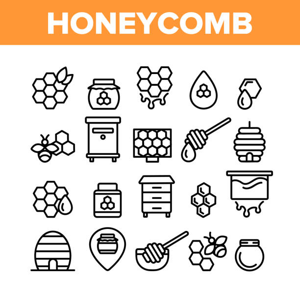 Honeycomb Collection Elements Icons Set Vector Honeycomb Collection Elements Icons Set Vector Thin Line. Bee Swarm, Beekeeper And Sweets, Nectar And Honeycomb Concept Linear Pictograms. Beekeeping Monochrome Contour Illustrations beehive stock illustrations