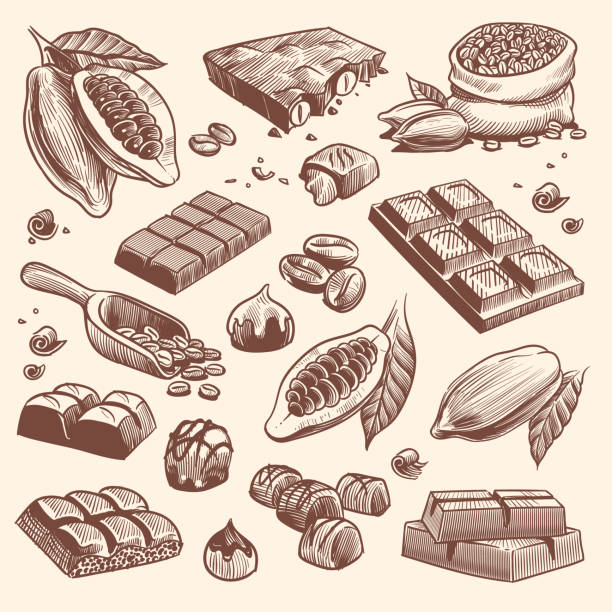 skizze kakao und schokolade. kakao- und kaffeesamen sowie schokoriegel und bonbons. hand gezeichnete süßigkeiten isoliert vektor-set - schokolade stock-grafiken, -clipart, -cartoons und -symbole