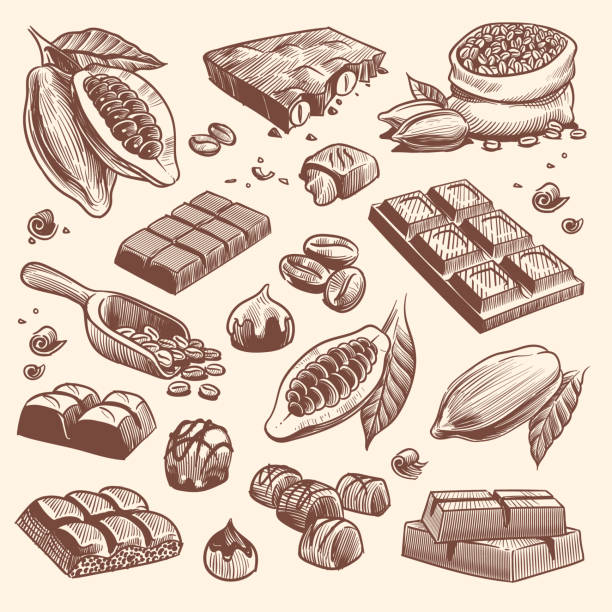 ilustraciones, imágenes clip art, dibujos animados e iconos de stock de dibuja cacao y chocolate. cacao y semillas de café y barras de chocolate y caramelos. dulces dibujados a mano conjunto vectorial aislado - chocolate caliente