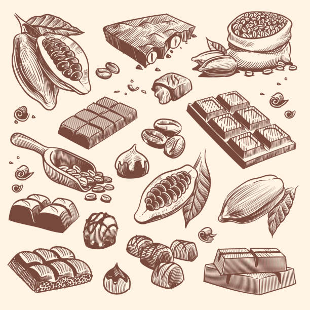 Sketch cocoa and chocolate. Cacao and coffee seeds and chocolate bars and candies. Hand drawn sweets isolated vector traditional vintage peel candy plant set