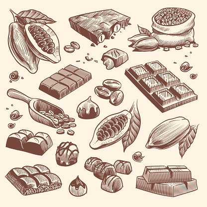 Sketch cocoa and chocolate. Cacao and coffee seeds and chocolate bars and candies. Hand drawn sweets isolated vector traditional vintage peel candy plant set