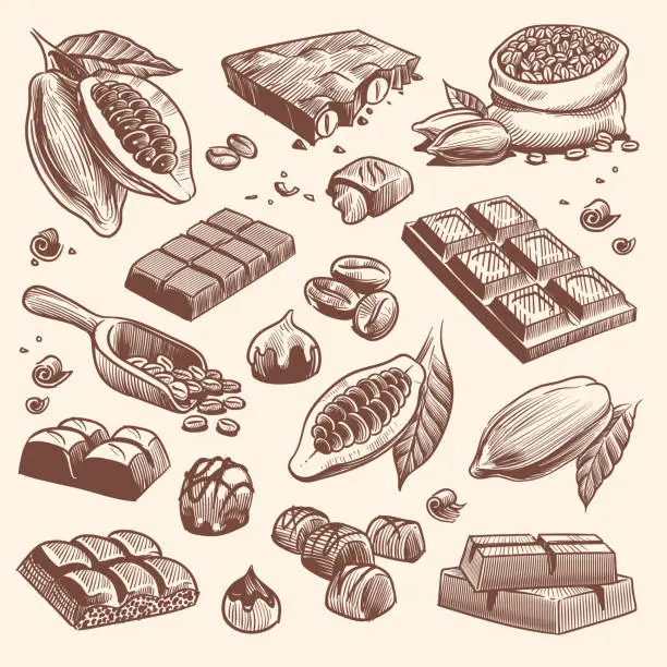 Vector illustration of Sketch cocoa and chocolate. Cacao and coffee seeds and chocolate bars and candies. Hand drawn sweets isolated vector set