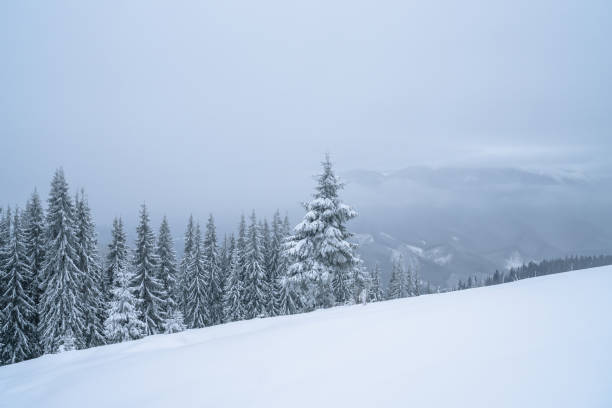 istock Winter mountains powder slope. Carpathians hill snow covered 1178001653
