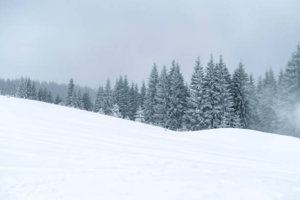 istock Winter mountains powder slope. Carpathians hill snow covered 1178001702