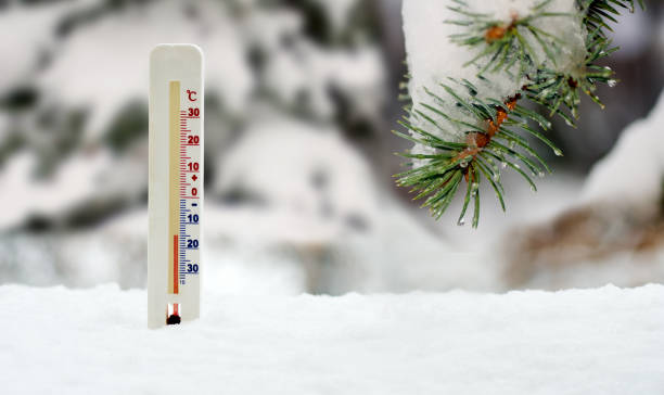 istock thermometer on snow and  fir branch background 1178002796