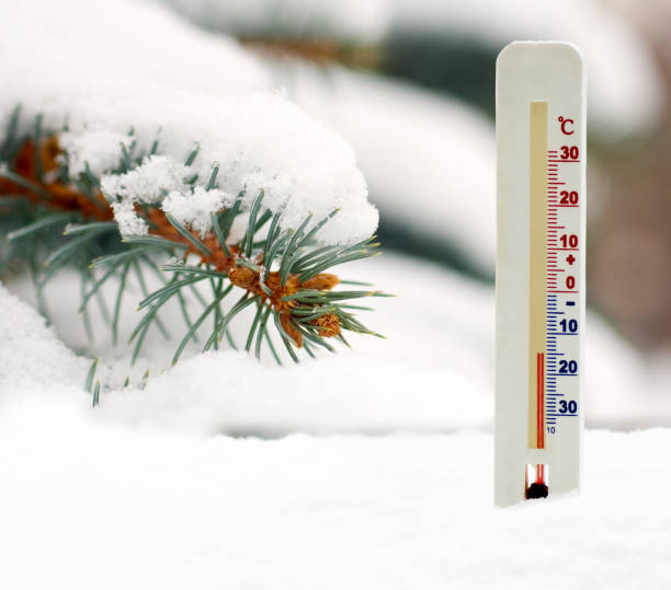 термометр на фоне снежной и еловой ветки - meteorology diamond weather ice стоковые фото и изображения