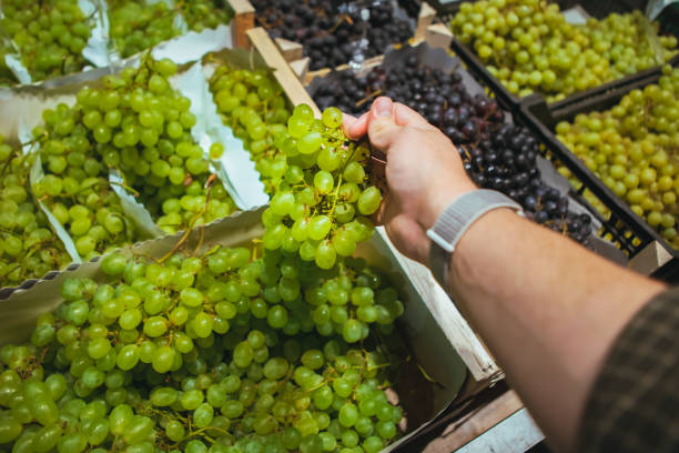 istock first person point of view man choosing grapes 1178004253