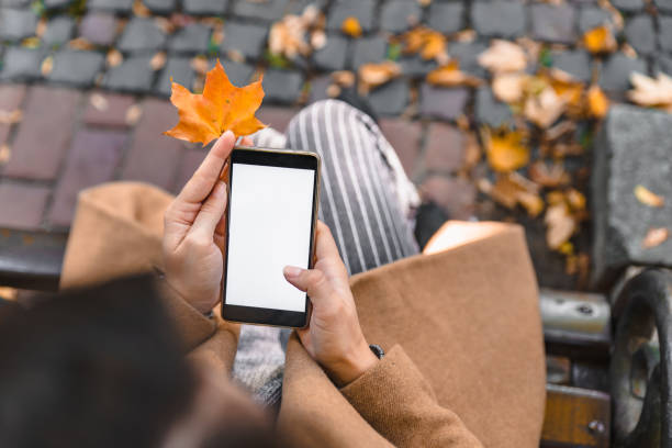 mulher segurando telefone com tela branca ao ar livre folha de plátano amarela - maple leaf green outdoors - fotografias e filmes do acervo