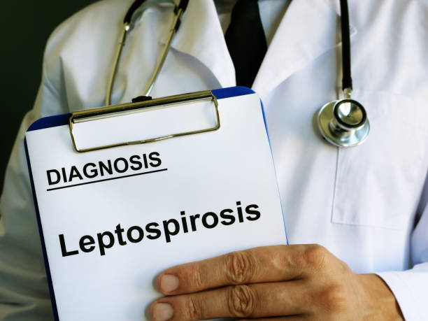 Medical form with Leptospirosis in the clipboard. Medical form with Leptospirosis in the clipboard. leptospira stock pictures, royalty-free photos & images