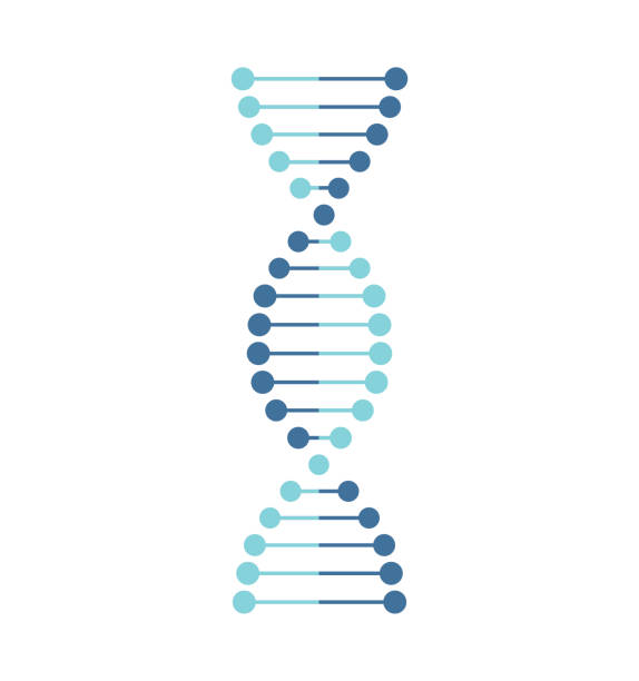 illustrations, cliparts, dessins animés et icônes de concept de ligne mince. les icônes d'adn ont réglé l'illustration de vecteur. concept d'adn polygonal. symbole d'acide deoxyribonucleic. - deoxyribonucleic