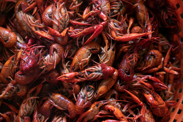 louisiana raki gotować - crayfish new orleans cajun food louisiana zdjęcia i obrazy z banku zdjęć